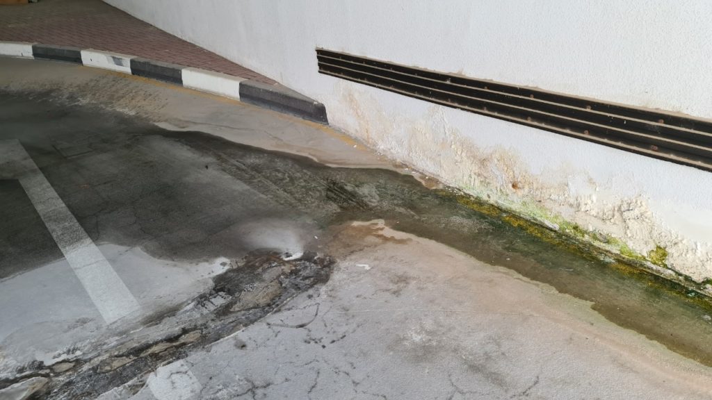 Water Seepage in Walls