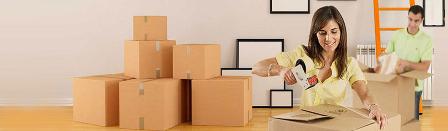 Professional Packers and Movers in Dubai, Checklist for Moving-In or Moving-out in UAE, Professional Packers and Movers in UAE, Professional Packers and Movers Companies,