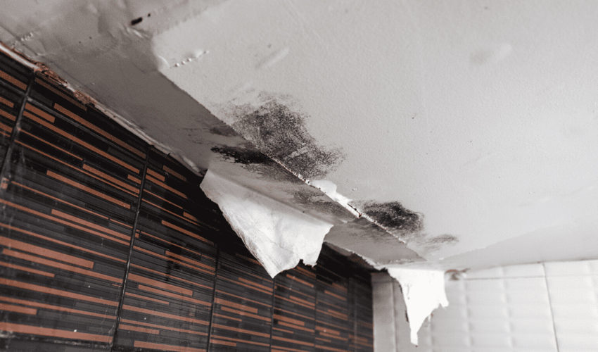 Causes of Major Structural Damage To A Home